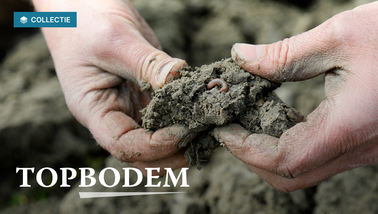 Collectie Topbodem