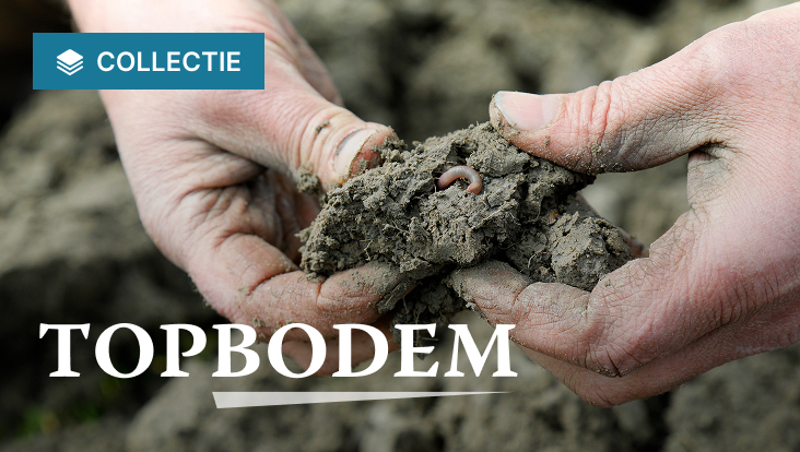 Collectie Topbodem