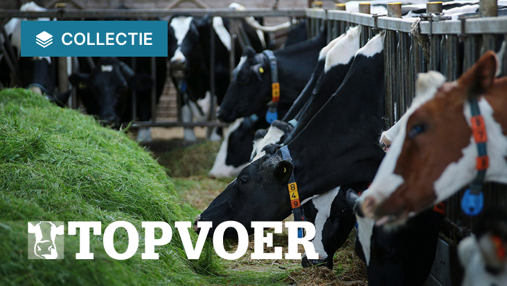 Collectie Topvoer